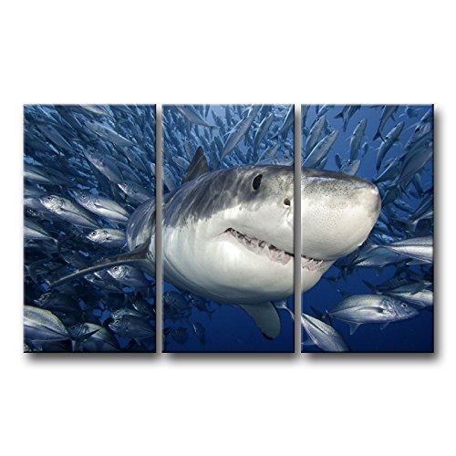 Product Cover 3 Piece Blue Wall Art Painting Shark Catching Fish Pictures Prints On Canvas Animal The Picture Decor Oil For Home Modern Decoration Print