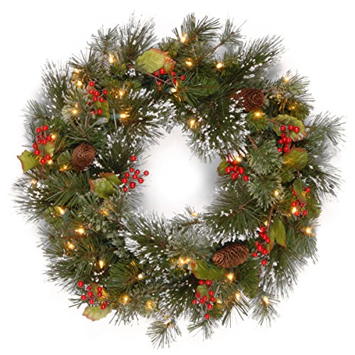 Product Cover National Tree 24 Inch Wintry Pine Wreath with Clear Lights (WP1-300-24W-1)