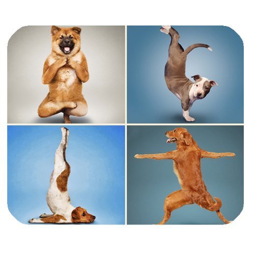 Product Cover Yoga Dogs Funny Design Personalized Rectangle Mouse Pad