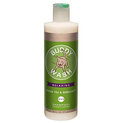 Product Cover Buddy Biscuits Buddy Wash Dog Shampoo & Conditioner for Dogs with Botanical Extracts and Aloe Vera, Green Tea & Bergamot - 16 fl. oz., Model:CS15232