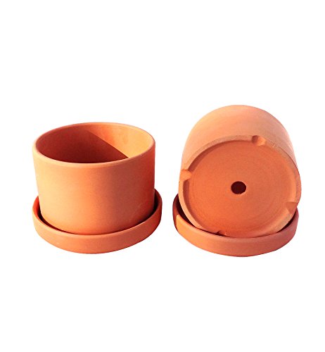 Product Cover Natural Terracotta Round Fat Walled Garden Planters with Individual Trays. Set of 2