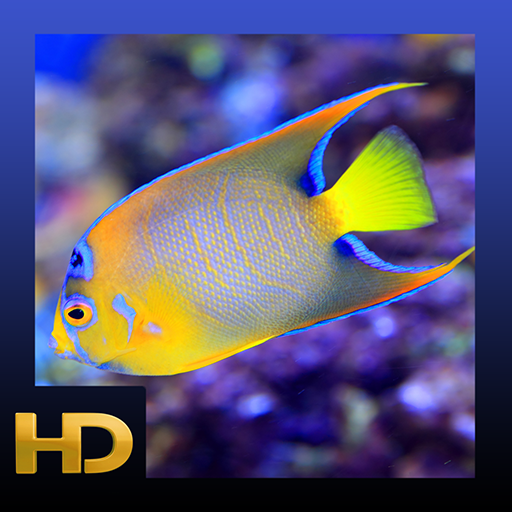 Product Cover Peaceful Aquarium HD