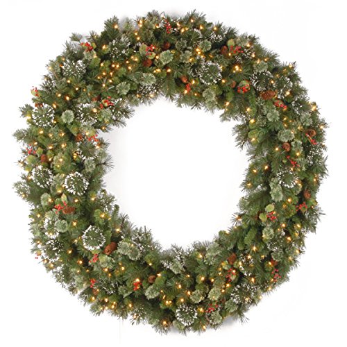 Product Cover National Tree 60 Inch Wintry Pine Wreath with Cones, Red Berries, Snowflakes and 300 Clear Lights (WP1-300-60W)