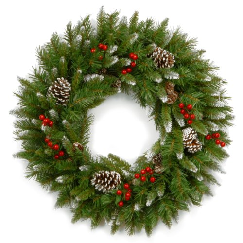 Product Cover National Tree 24 Inch Frosted Berry Wreath with Red Berries and Cones (FRB-24W-1)