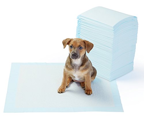 Product Cover AmazonBasics Regular Pet Dog and Puppy Training Pads - Pack of 100