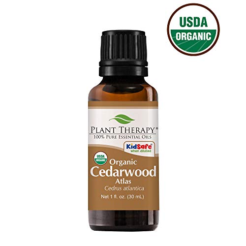 Product Cover Plant Therapy Cedarwood Atlas Organic Essential Oil 100% Pure, USDA Certified Organic, Undiluted, Natural Aromatherapy, Therapeutic Grade 30 mL (1 oz)