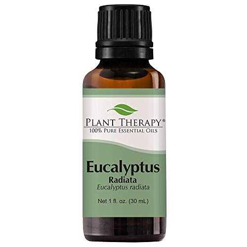 Product Cover Plant Therapy Eucalyptus Radiata Essential Oil 30 mL (1 oz) 100% Pure, Undiluted, Therapeutic Grade