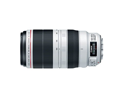 Product Cover Canon EF 100-400mm f/4.5-5.6L is II USM Lens