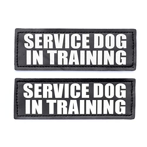 Product Cover Service Dog in Training Patch with Hook Back and Reflective Lettering for Service Dog in Training Vests (Service Dog in Training, Large - 2
