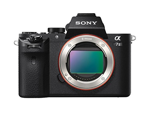 Product Cover Sony Alpha a7II Mirrorless Digital Camera - Body Only