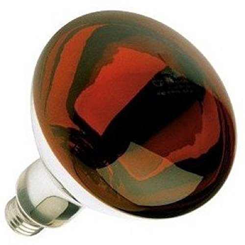 Product Cover Red Heat Lamp 250 Watts BR40 2,000 Hours Long Life Medium E26 Base Light Bulb Industrial Grade, Red