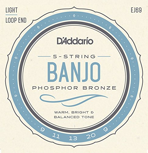 Product Cover D'Addario EJ69 Phosphor Bronze 5-String Banjo Strings, Light, 9-20