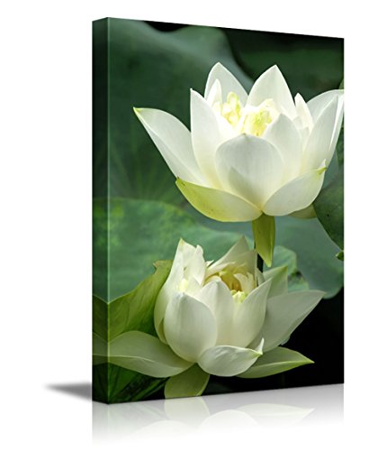 Product Cover Canvas Prints Wall Art - White Lotus Flower and Green Lotus Leaf | Modern Wall Decor/Home Decor Stretched Gallery Wraps Giclee Print & Wood Framed. Ready to Hang - 24