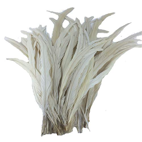 Product Cover Sowder Off White Rooster Coque Tail Feathers 13-16inch Lengh Pack of 50