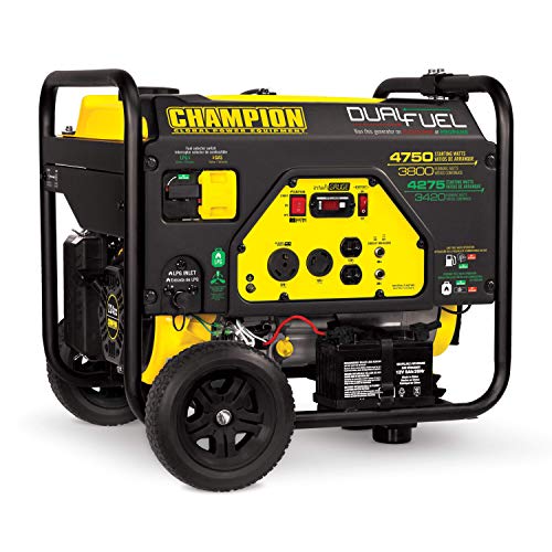 Product Cover Champion 3800-Watt Dual Fuel RV Ready Portable Generator with Electric Start