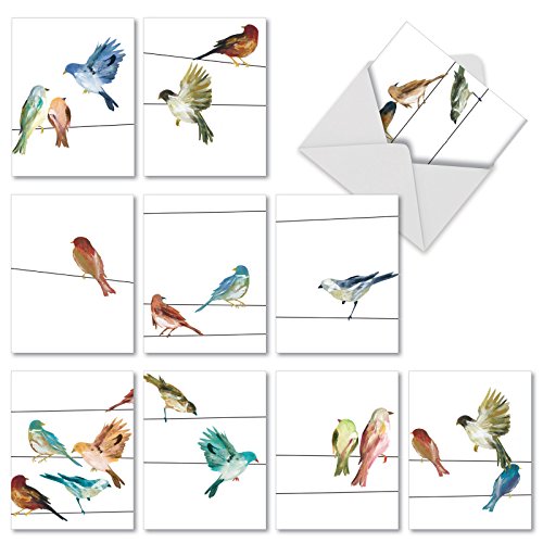 Product Cover The Best Card Company - 10 Watercolor Blank Note Cards Assorted (4 x 5.12 Inch) - All Occasion Bird Cards Bulk - High Wire Birds M3318