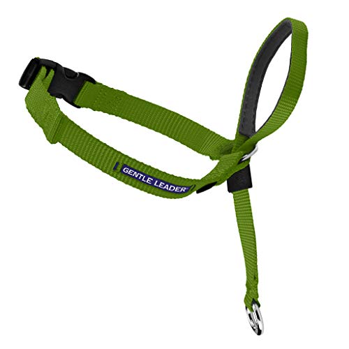 Product Cover PetSafe Gentle Leader Head Collar with Training DVD, Large 60-130 LBS, Apple Green