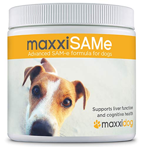 Product Cover maxxidog - maxxiSAMe Advanced SAM-e Liver and Cognitive Function Supplement for Dogs - Given with Food - Powder 5.3 oz