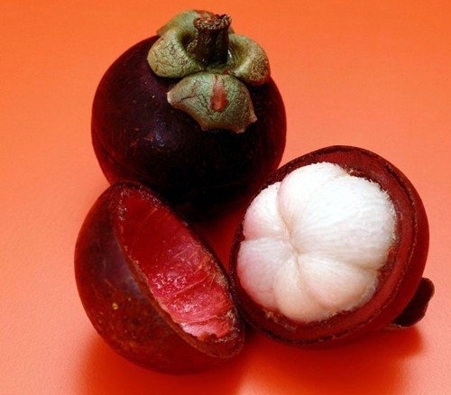 Product Cover Mangosteen Seeds, Nutrient-Rich Queen Of Tropical Fruits, Fruit Seeds, 10 Seeds