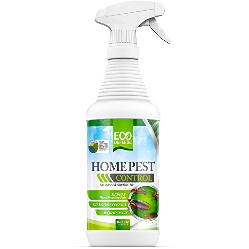 Product Cover Eco Defense Home Pest Control Spray, USDA Biobased (16 oz)