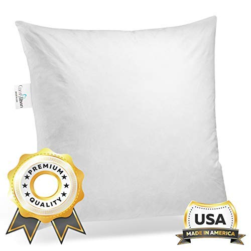 Product Cover ComfyDown 95% Feather 5% Down, 22 X 22 Square Decorative Pillow Insert, Sham Stuffer - MADE IN USA