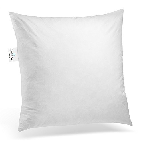 Product Cover ComfyDown 95% Feather 5% Down, 24 X 24 Square Decorative Pillow Insert, Sham Stuffer - MADE IN USA