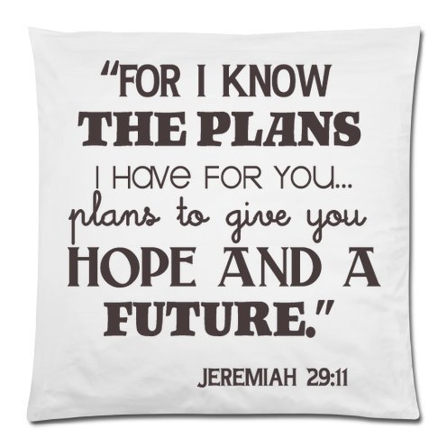 Product Cover Topstation pillowcases Bible Verse-for I Know The Plans I Have for You,Plans to give You Hope and A Future. Jeremiah 29:11 Throw Pillow Case Cushion Cover 18x18 Inch - Twin Sides Printing