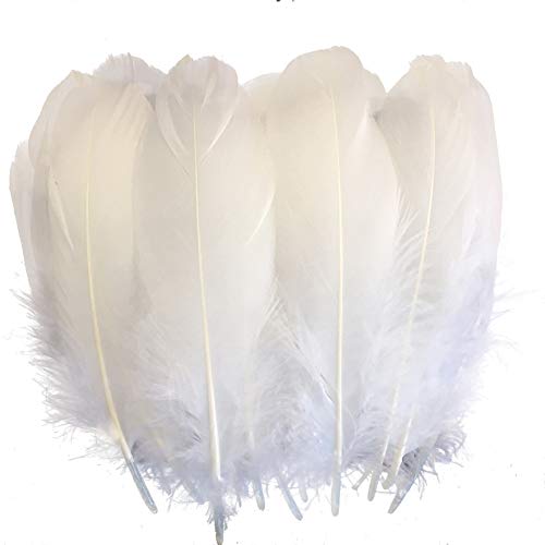 Product Cover Sowder Natural Goose Feathers Clothing Accessories Pack of 100 (White)