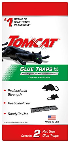 Product Cover Tomcat Glue Traps Rat Size with Eugenol for Enhanced Stickiness, Contains 2 Rat Size Glue Traps - Captures Rats, Mice and Other Household Pests - Professional Strength, Pesticide-Free and Ready-to-Use
