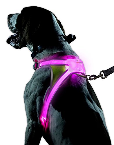 Product Cover Noxgear LightHound - Multicolor LED Illuminated Reflective Dog Vest (Large)