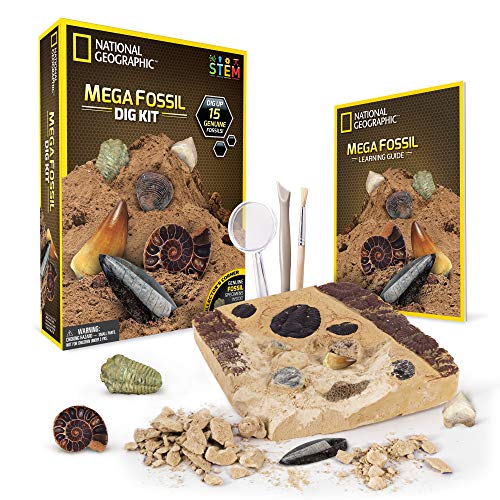 Product Cover NATIONAL GEOGRAPHIC Mega Fossil Dig Kit - Excavate 15 Real Fossils Including Dinosaur Bones, Mosasaur & Shark Teeth - Great STEM Science Gift for Paleontology and Archeology Enthusiasts of Any Age