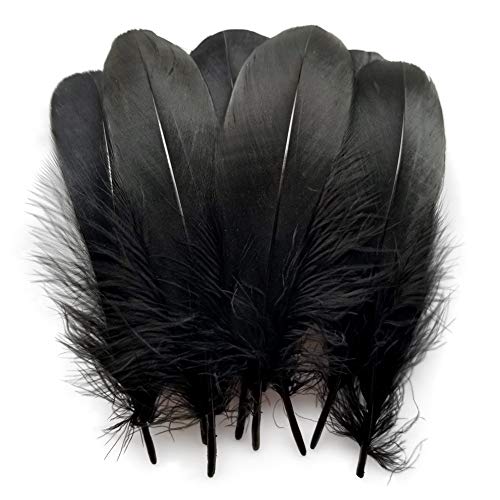 Product Cover Sowder Natural Goose Feathers Clothing Accessories Pack of 100 (Black)