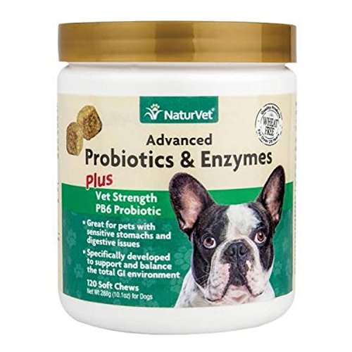 Product Cover NaturVet Advanced Probiotics & Enzymes for Dogs - 120 Soft Chews
