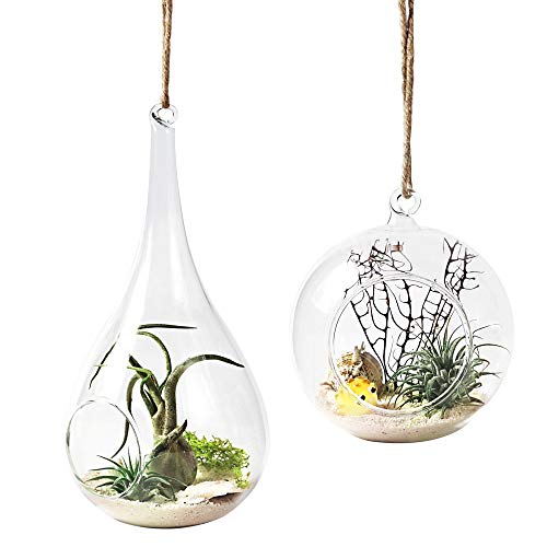 Product Cover Mkono 2 Pack Glass Hanging Planter Air Plant Terrarium Home Decorations Gift Idea for Succulent Moss Tillandsias Air Ferns Candles, Globe and Teardrop