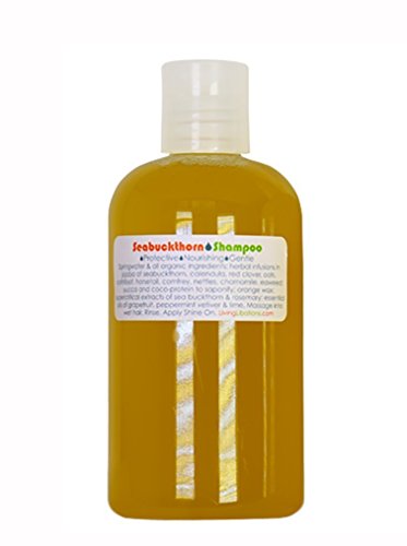 Product Cover Living Libations - Organic/Wildcrafted Seabuckthorn Shampoo (8 oz / 240 ml)