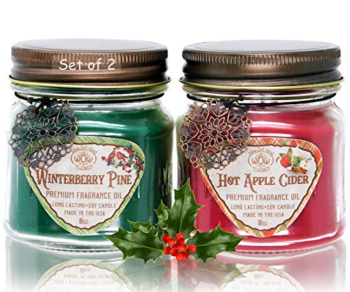 Product Cover Scented Candles (2-Pack) with Hot Apple Cider and Winterberry Pine - Jar Candles Gift Sets - Great Winter and Holiday Candles- Natural Soy Wax Blend with Premium Fragrance Oil - Made in USA