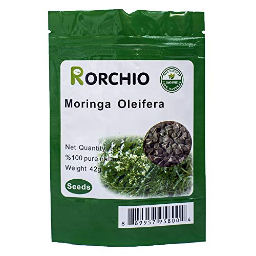 Product Cover 100 Moringa Also Known as drumstick Tree Moringa Organic Seeds ~ Chris's Garden