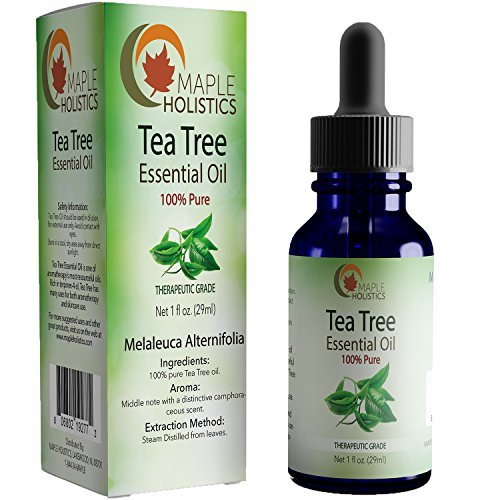 Product Cover Pure Tea Tree Essential Oil - 100% Natural & Therapeutic Grade - Antifungal, Scalp and Antiseptic Benefits for Women and Men - Authentic Australian Oil - 1oz - Guaranteed By Maple Holistics