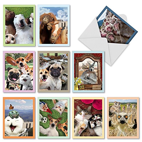 Product Cover Animal Selfies - 10 Humorous Assorted Note Cards with Envelopes (4 x 5.12 Inch) - Blank All Occasion Pet Animal and Wildlife Greeting Card Set - Fun Photos of Cat, Dog, Monkey, Horse M2373OCBsl