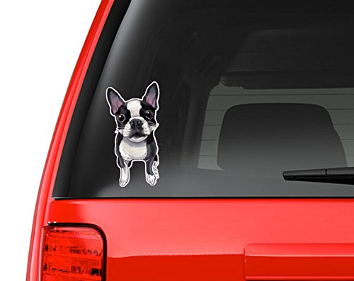 Product Cover Boston Terrier Full Color Art Vinyl Auto Decal Sticker or any Smooth Surface