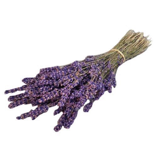 Product Cover Large Bunch Provence Lavender Flowers Dried Flower Bouquet 300 Stems Fragrant Crafts Decoration by Harrington Marley