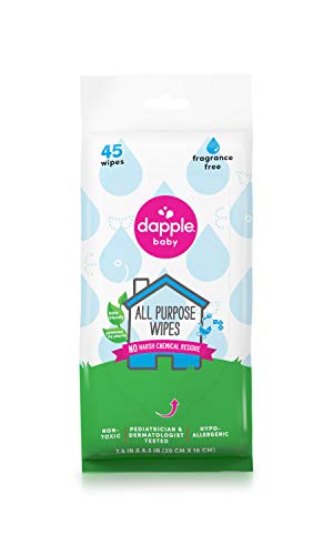 Product Cover Dapple Pure & Clean Everything Fragrance Free Wipes, 45 Ea, 45count