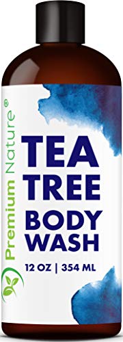 Product Cover Tea Tree Body Wash Antibacterial - Antifungal Bodywash Tee Tree Essential Oil Soap Cleanser All Natural 100% Pure Shower Gel - Jock Itch Defense Acne Athletes Foot Odor Eczema Ringworm Treatment