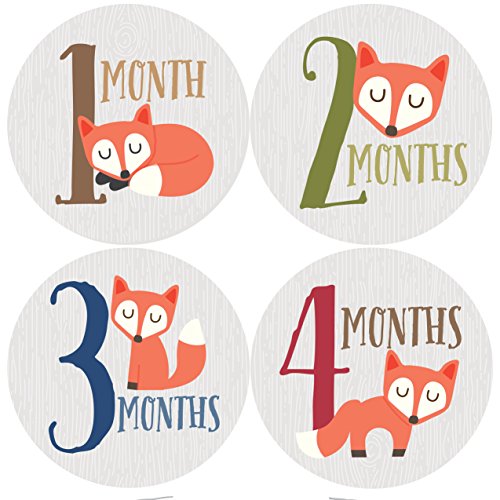 Product Cover Fox Monthly Baby Stickers, Woodland, Baby Gift, Milestone Stickers, Baby Boy