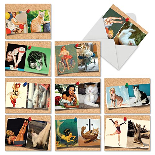 Product Cover 10 Hilarious Note Cards for All Occasions - Assorted 'Cats and Chicks' Blank Greeting Cards with Envelopes - Stationery for Weddings, Birthdays, Holidays and Gratitude - NobleWorks M6484OCB