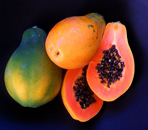 Product Cover 50+ Very Fresh! Strawberry Papaya! tropical fruit tree seeds plant VERY EASY!
