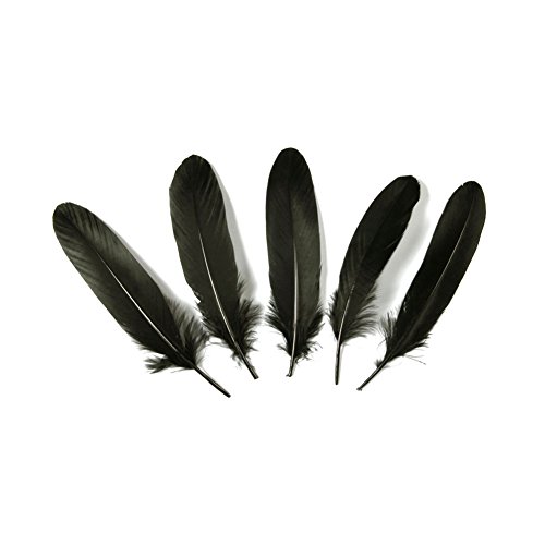 Product Cover Goose Feather,Hgshow 100Pcs Beautiful Feathers 6-8 inches 15-20 cm, Choose Color Useful Charming