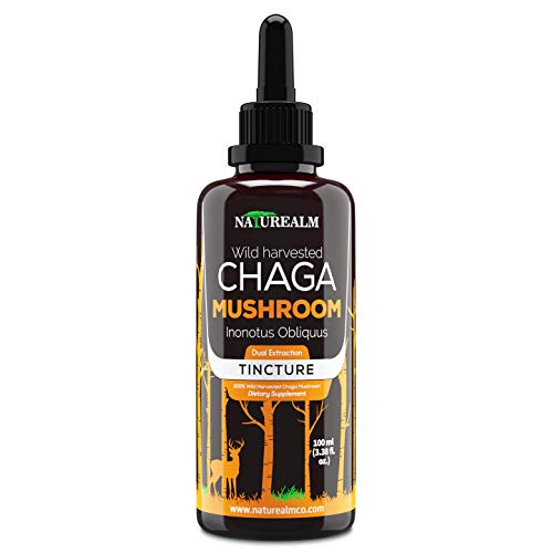Product Cover Naturealm Chaga Mushroom Extract - 100% Wild Harvested in Alaska - Potent Dual Extraction - Super Antioxidant, Immune Support, Anti Aging, Skin Health - 100ml (3.38oz.)