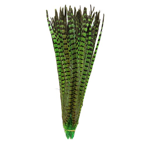Product Cover Hgshow 10Pcs feather Products Assorted Natural Pheasant Tails Feathers,About 20-22 inches,50-55cm long Green