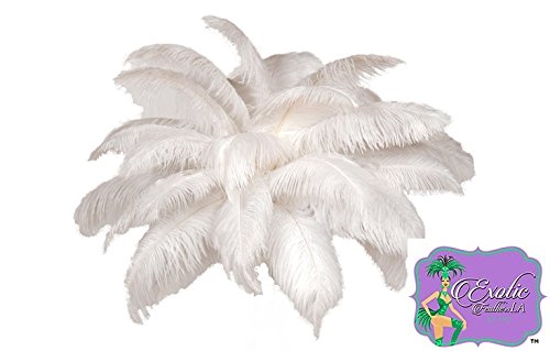 Product Cover White Ostrich Feathers Wholesale Bulk Special Sale 12 to16